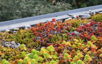 the cost of Hilton green roof installation