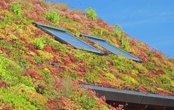 Hilton living roof systems