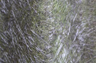 Hilton fibreglass roof work